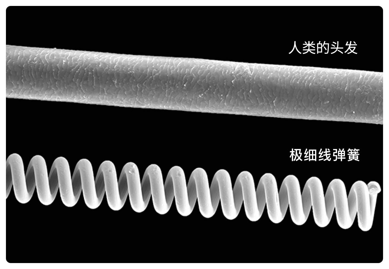 极细线弹簧