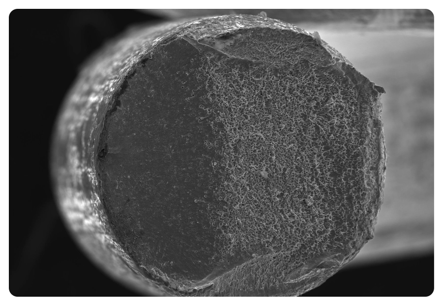 Energy dispersive X-ray analyzer